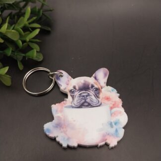 Boston Terrier in cup